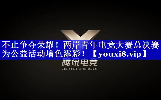 不止争夺荣耀！两岸青年电竞大赛总决赛为公益活动增色添彩！