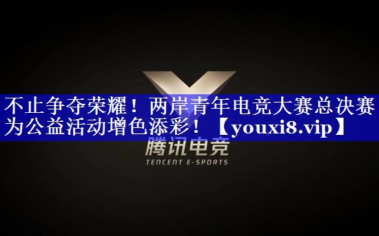 不止争夺荣耀！两岸青年电竞大赛总决赛为公益活动增色添彩！